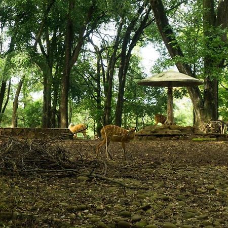 Arimbi Pejaten Suites Dżakarta Zewnętrze zdjęcie