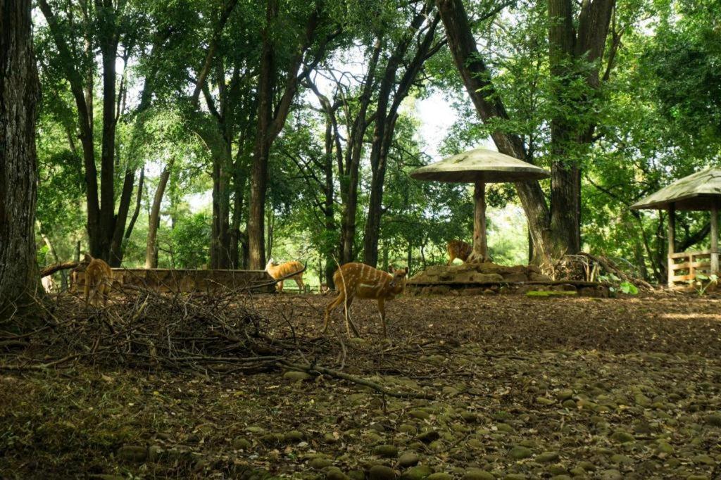 Arimbi Pejaten Suites Dżakarta Zewnętrze zdjęcie